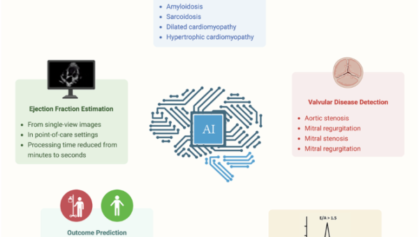 Contemporary applications of artificial intelligence and machine learning in echocardiography