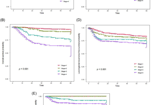 Deep learning–based artificial intelligence models predict survival in patients with oral cavity squamous cell carcinoma