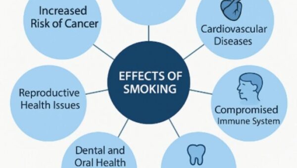 Explainable artificial intelligence driven insights into smoking prediction using machine learning and clinical parameters