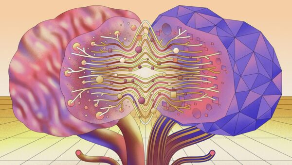 Trading places: What happens when neuroscience turns into machine learning, and machine learning turns into neuroscience?