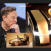 Musk Countdown
