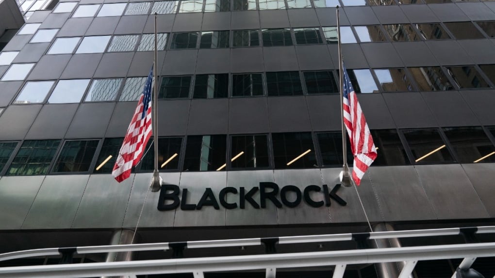 BlackRock CEO Fink backs staying invested amid volatility, flags AI shift