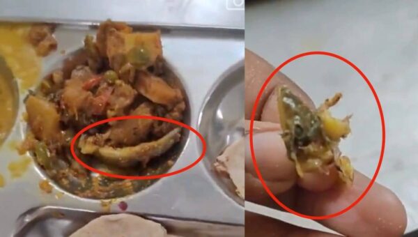 ‘Shimla Mirch Hai Yaar…’: Chef Eats Lizard Found In University Mess Food In Bhopal | Video
