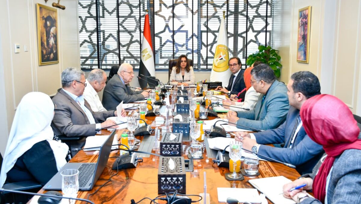 Egypt launches unified digital environmental registry for industry